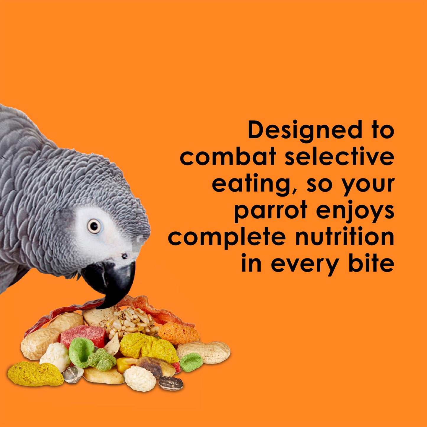 Kaytee Fiesta Parrot Food, Nutritious and Fun Blend, Supports Skin, Feather, Digestion, Brain and Heart Health, 4.5 pounds