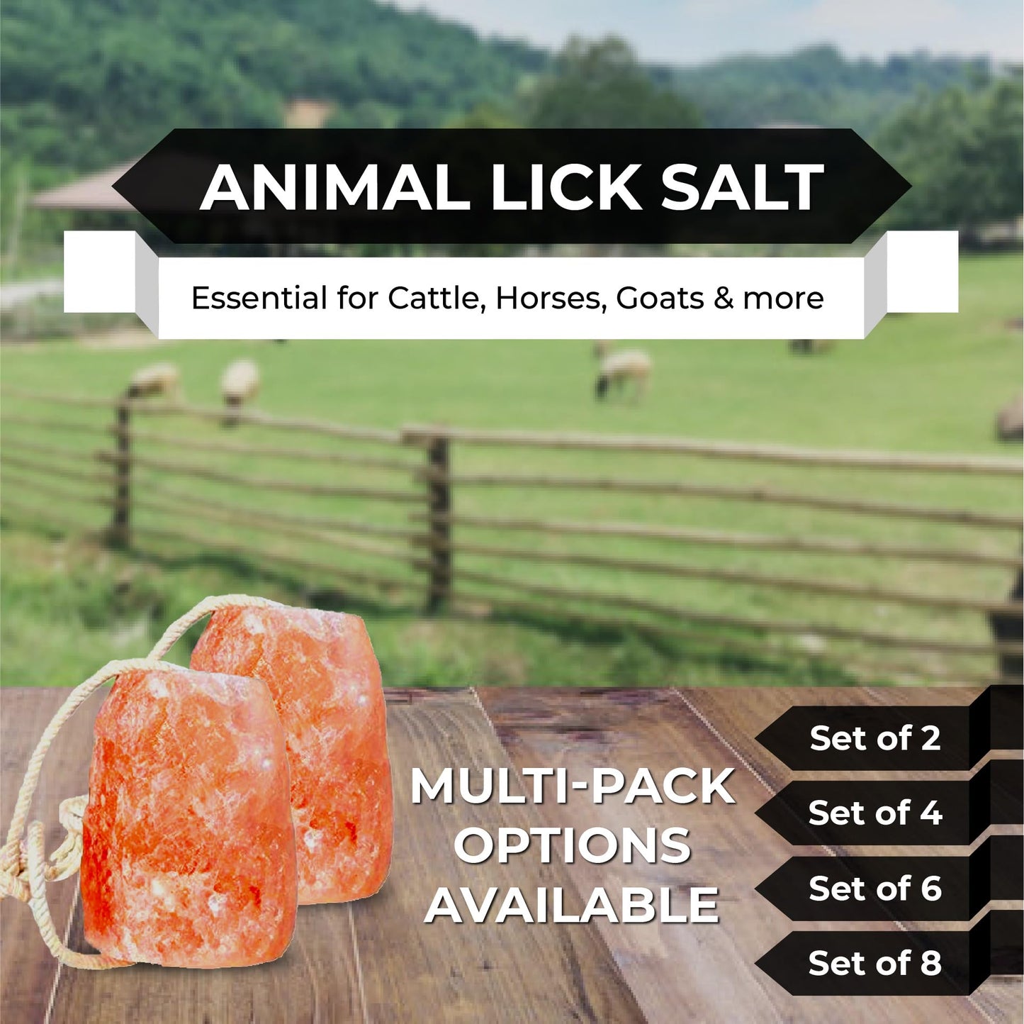 Pacific Pelican Himalayan Pink Salt Licks for Animals – Natural Salt Block with Rope for Horses, Cows, Deer & More – No Harmful Elements - Approximately 9 lbs (Pack of 2)