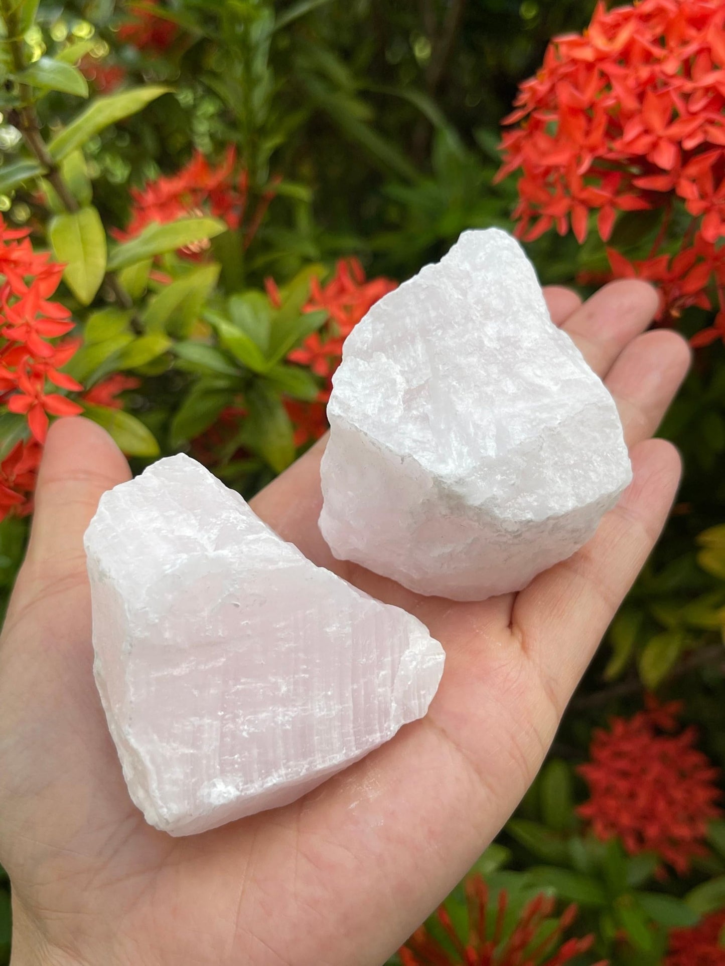 GAF TREASURES X-Large Pink Calcite Calcite Rough Natural Stones, Raw Calcite Pink Crystals (0.25-0.5 Pounds)