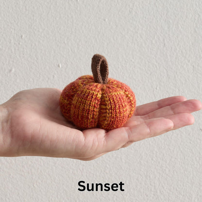 Your Heart's Content Set of 5 Cozy Mini Knit Pumpkins Classic Autumn Orange Gold Rust, Table top Bowl Filler, Kitchen Tiered Tray for Gift, Gift for Hostess (Sunset 2.5 Inch Set)