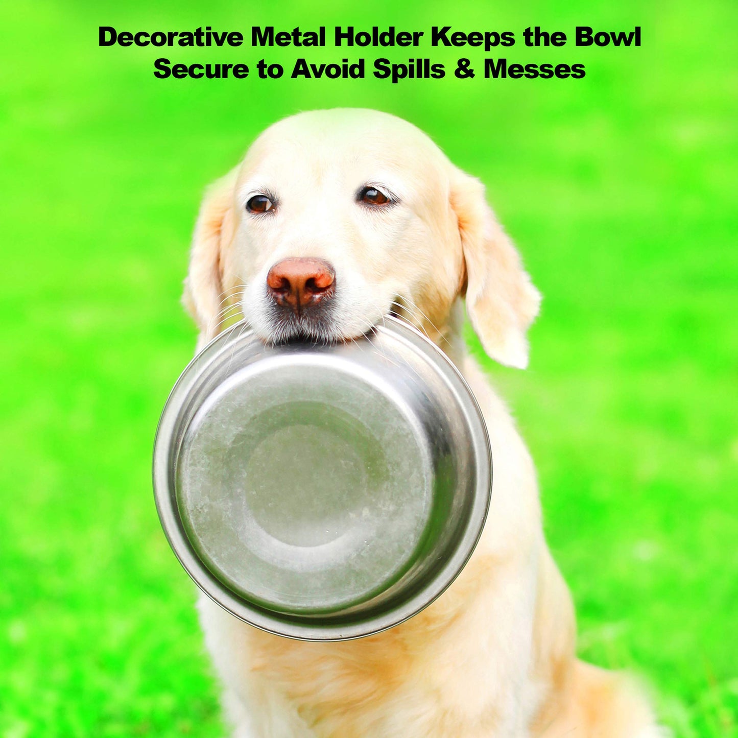 PETMAKER Elevated Dog and Cat Bowls - Decorative 6.5-Inch-Tall Raised Stand with 2 Stainless-Steel Food and Water Bowls - Hold 40oz Each by (Black)