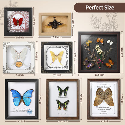 TOHTOFN Real Rhinoceros Beetle (Dynastes) Preserved Framed - 6.7x4.7 Inch Handcrafted Insect Specimen Shadow Box, Gothic Home Decor for Christmas Halloween Birthday Gifts
