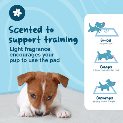 Petsentials Dog Toilet Training Pads - 105 Pack | Disposable & Super Absorbent Puppy Pee Pads | Strong & Tear-Resistant Pee Pads for Puppies - Potty Training Mats