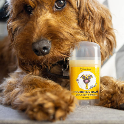 NutriPaw Nourishing Balm For Dogs & Cats - Moisturise & Soothe Dry, Cracked, Flakey Skin, Snout & Paws - Easy to apply - For all ages & breeds