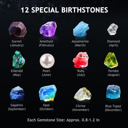 Japace Earth Science Kits for Kids Age 4-6-8-12-14, Birthstone Gemstone Dig Kit, Geology Kit with Break Your Own Geodes, Crystal Growing Experiment, Rock Mining Kit Birthday Gifts Toys for Boys Girls