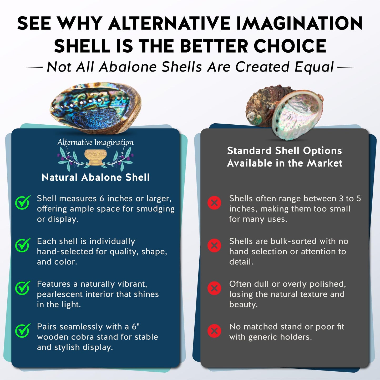 Alternative Imagination Hand Selected Abalone Shell - 6 Inches or Larger - Polished Mother-of-Pearl Interior - Flame-Proof Dish for Incense, Smudge Sticks, Trinkets, Crystal Display & Home Decor