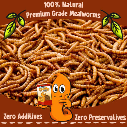 Chubby Mealworms (5 Litre), Dried Mealworms For Wild Birds, Protein Rich Dried Meal Worm High Energy for WildBirds, Reptiles, Gecko