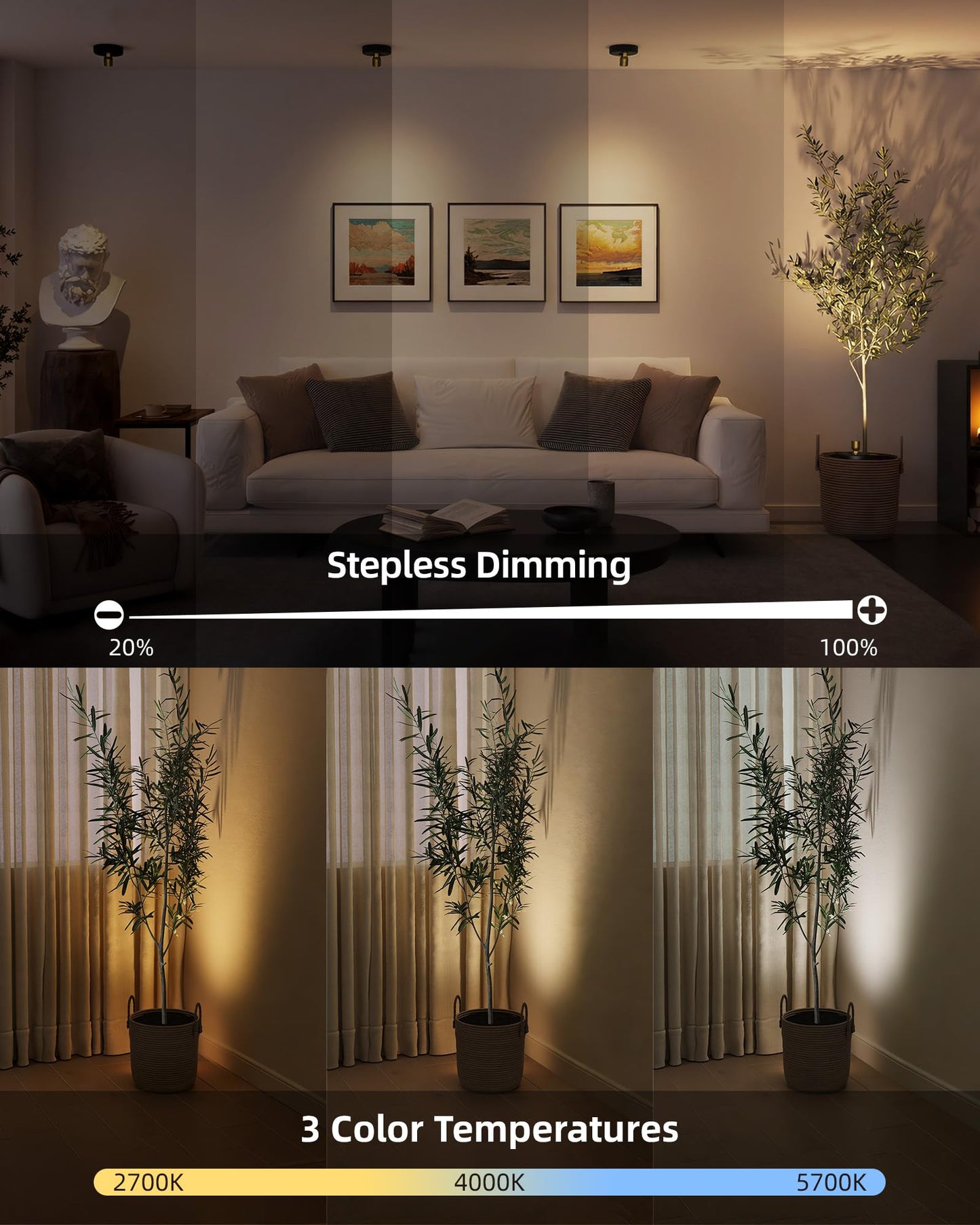 EZVALO Spotlight Indoor with Remote, 4000mAh Rechargeable Battery-Powered Plant Spot Lights, Wireless Mini Uplights with Dimmable & 3-CCT, Timer, Accent Lighting for Pictures, Art, Displays (2-Pack)