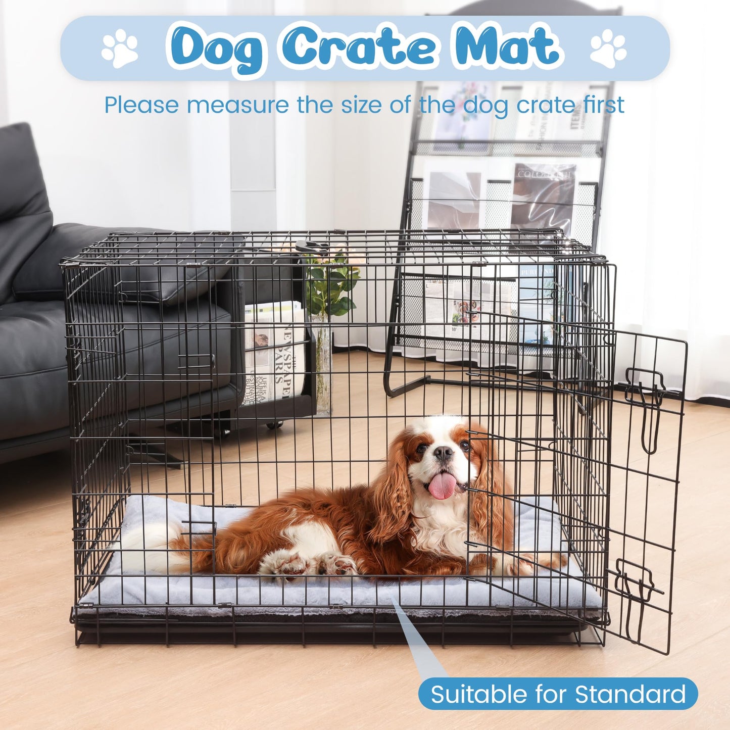 Baodan Dog Bed Large Washable, Pet Cat Beds Cushion Mattress, Soft Warm Dog Crate Mat Pad for Medium Large Dogs- L 90x60 cm, Grey
