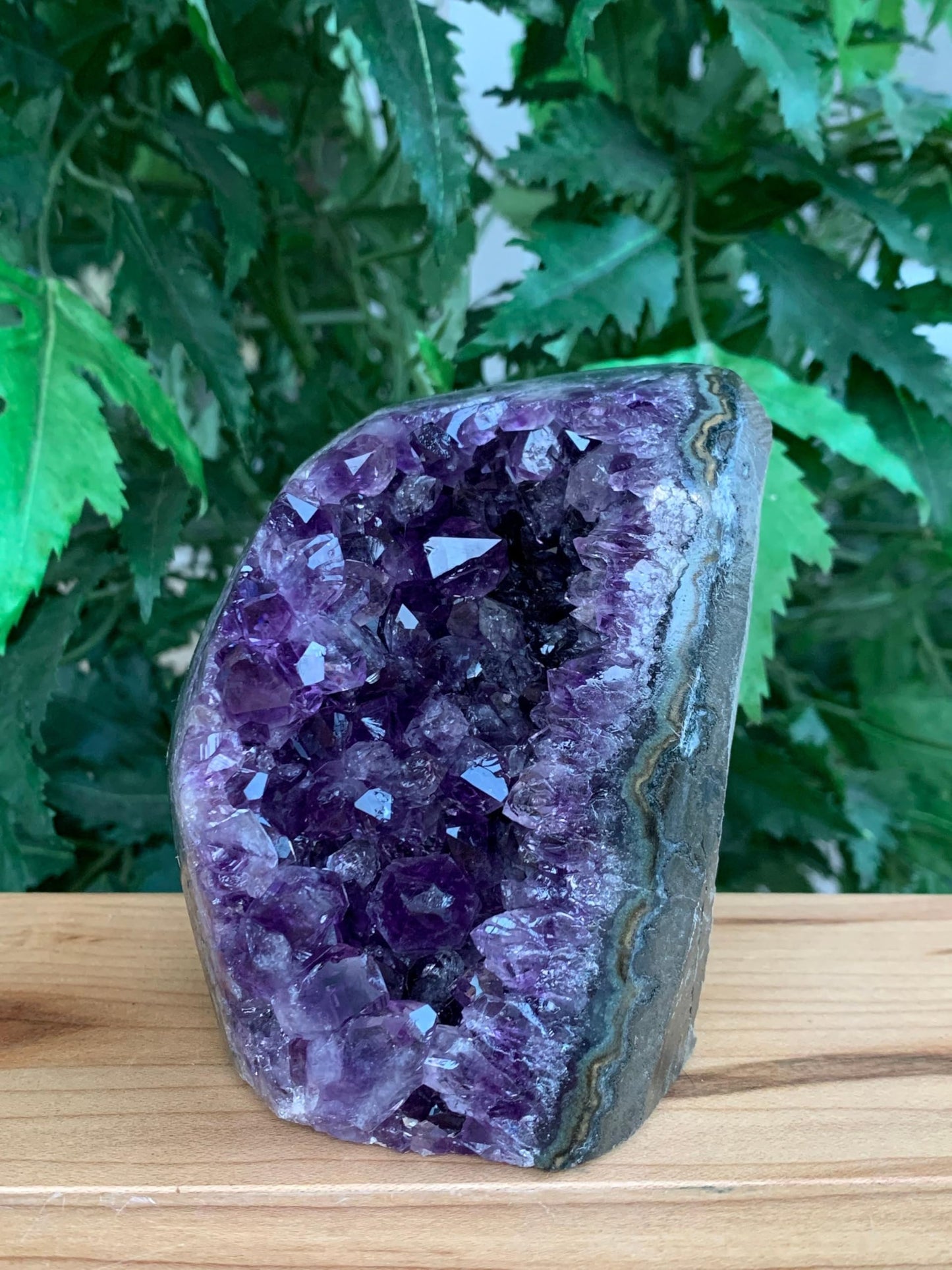 GAF TREASURES Finely Polished Uruguayan Deep Purple Amethyst Cluster with Cut Base, Standing Amethyst Geode, Raw Amethyst, Amethyst Cathedral, Amethyst Druze (0.5-1 lb)