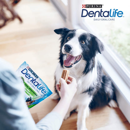 DENTALIFE Medium Dental Chicken Dog Chews 42 Sticks (Pack of 2)