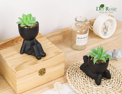 Der Rose 2 Pack Fake Plants Succulent Plants Artificial for Home Bathroom Living Room Office Decor