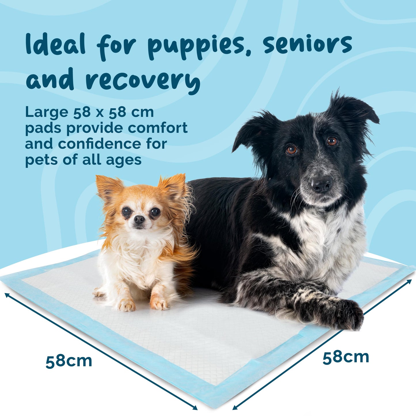 Petsentials Dog Toilet Training Pads - 105 Pack | Disposable & Super Absorbent Puppy Pee Pads | Strong & Tear-Resistant Pee Pads for Puppies - Potty Training Mats