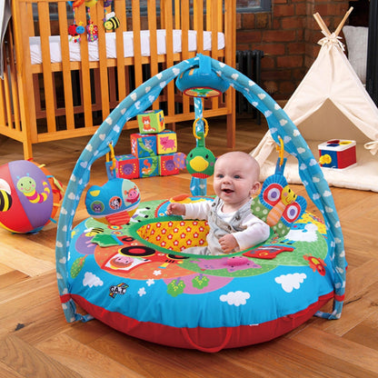 Galt Toys, Playnest and Gym - Farm, Sit Me Up Baby Seat, Ages 0 Months Plus