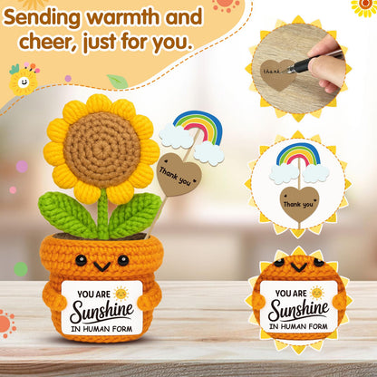 Frabaca Positive Mini Crochet Sunflower Christmas Desk Decor – You are Sunshine – Appreciation Gift for Coworker, Teacher, Friend, Employee – Encouragement Plush for Office, Birthday, Thanksgiving