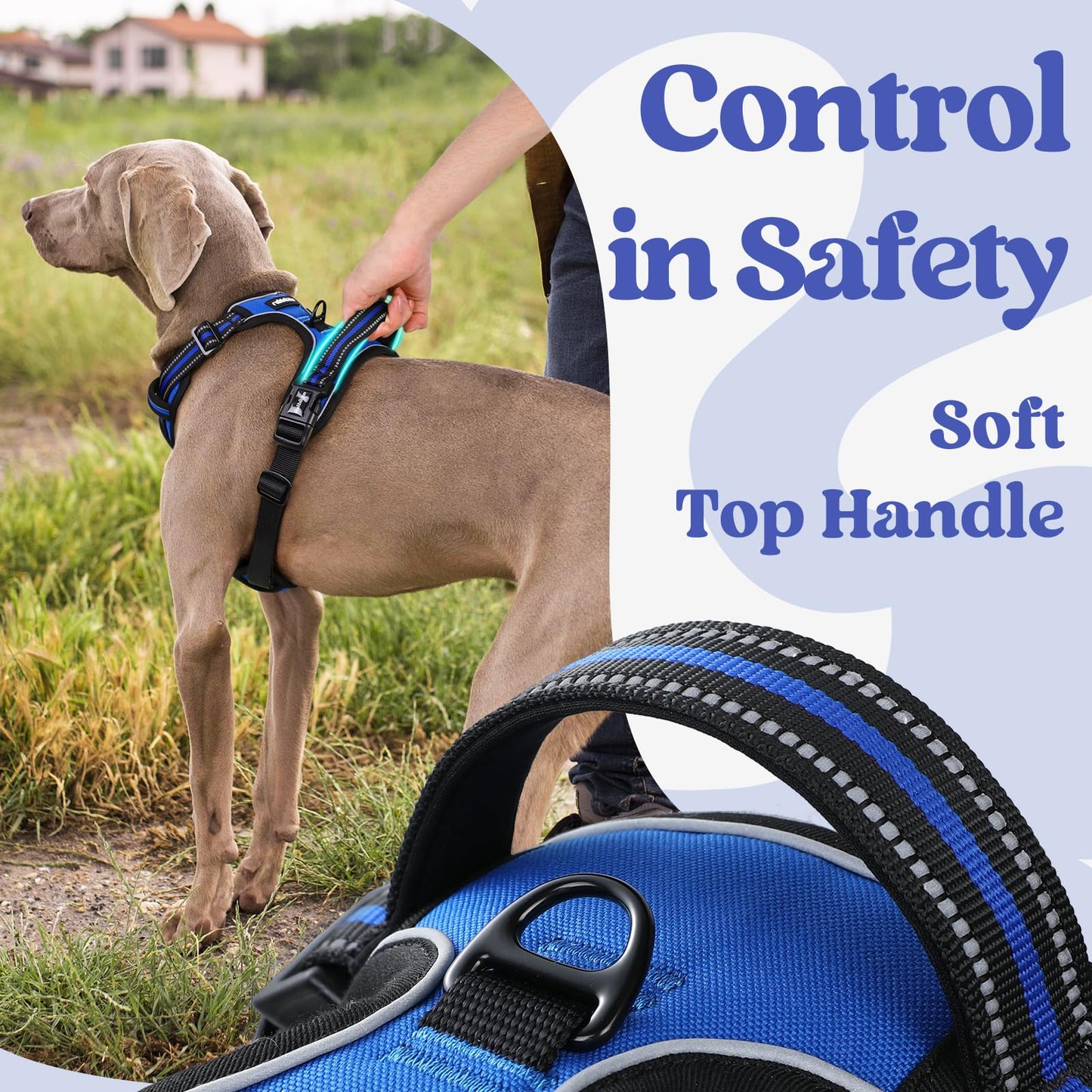 rabbitgoo Dog Harness Medium with Neck Release Buckle, Adjustable No Pull Harness with Front Back Clips, Soft Padded with Easy Control Handle, Reflective Pet Walking Vest, Blue, M