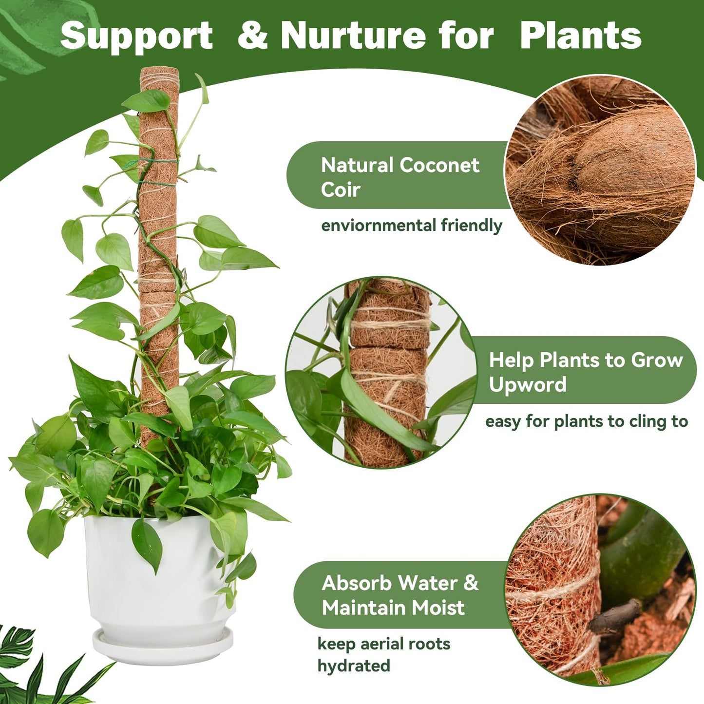 49 inch/125 cm Tall Moss Pole for Plants, SproutMaven 4 x 16 Inch/41 cm Monstera Moss Pole kit for Indoor Outdoor Climbing Plants Lianas to Grow Upwards