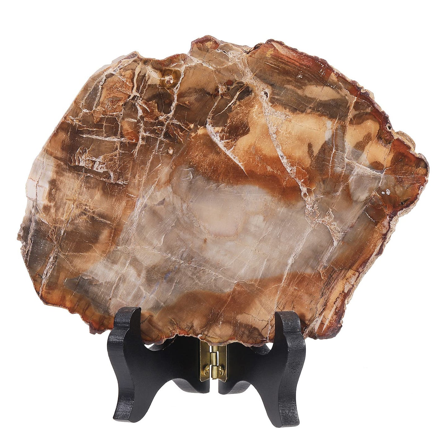 Rockcloud Natural Petrified Wood Slab with Wooden Stand, Reiki Raw Stone Display for Home Office Desktop Decoration