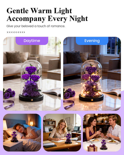 DENIMOMO Mothers Day Roses Gifts for Mom,Forever Purple Preserved Rose in Glass Dome,Mothers Day Real Flowers Roses Gifts for Wife Women Mom Grandma/Purple