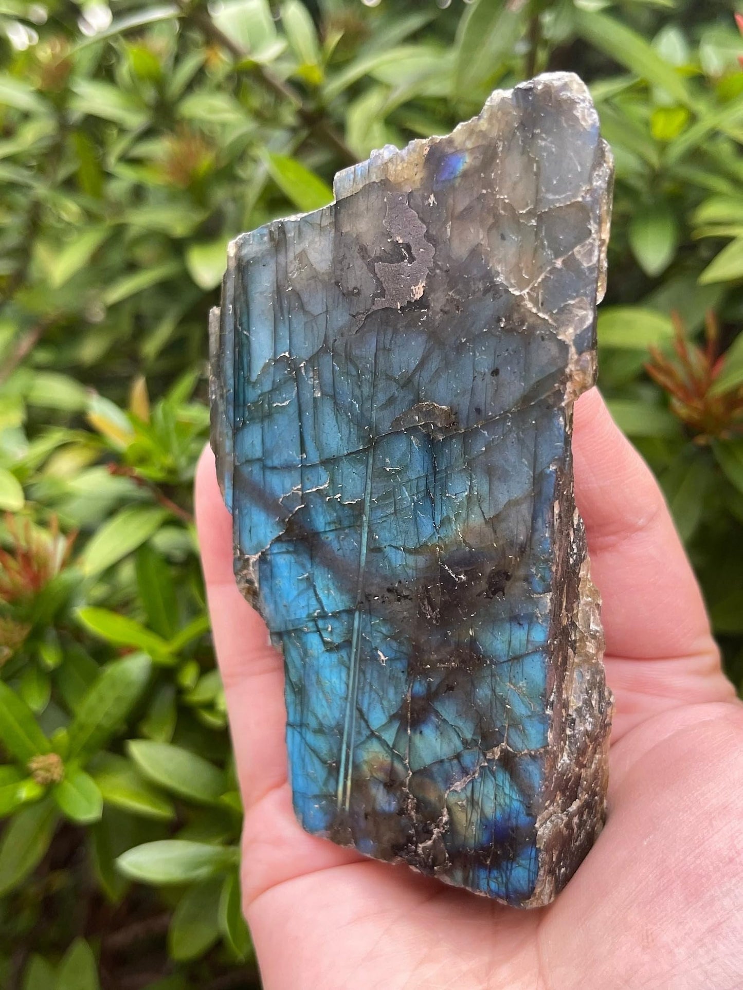 Natural Labradorite Slab, High Flash Free Standing Display Specimens, Raw Labradorite Slab Cut Base (0.5-1 lb)
