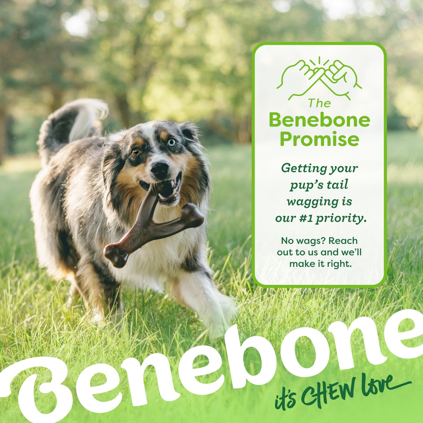 Benebone Indestructible Wishbone Dog Chew Toy for Aggressive Chewers, Long Lasting Tough Boredom Breaker for Dogs, Real Bacon Flavour, For Small Dogs, Made in the USA.