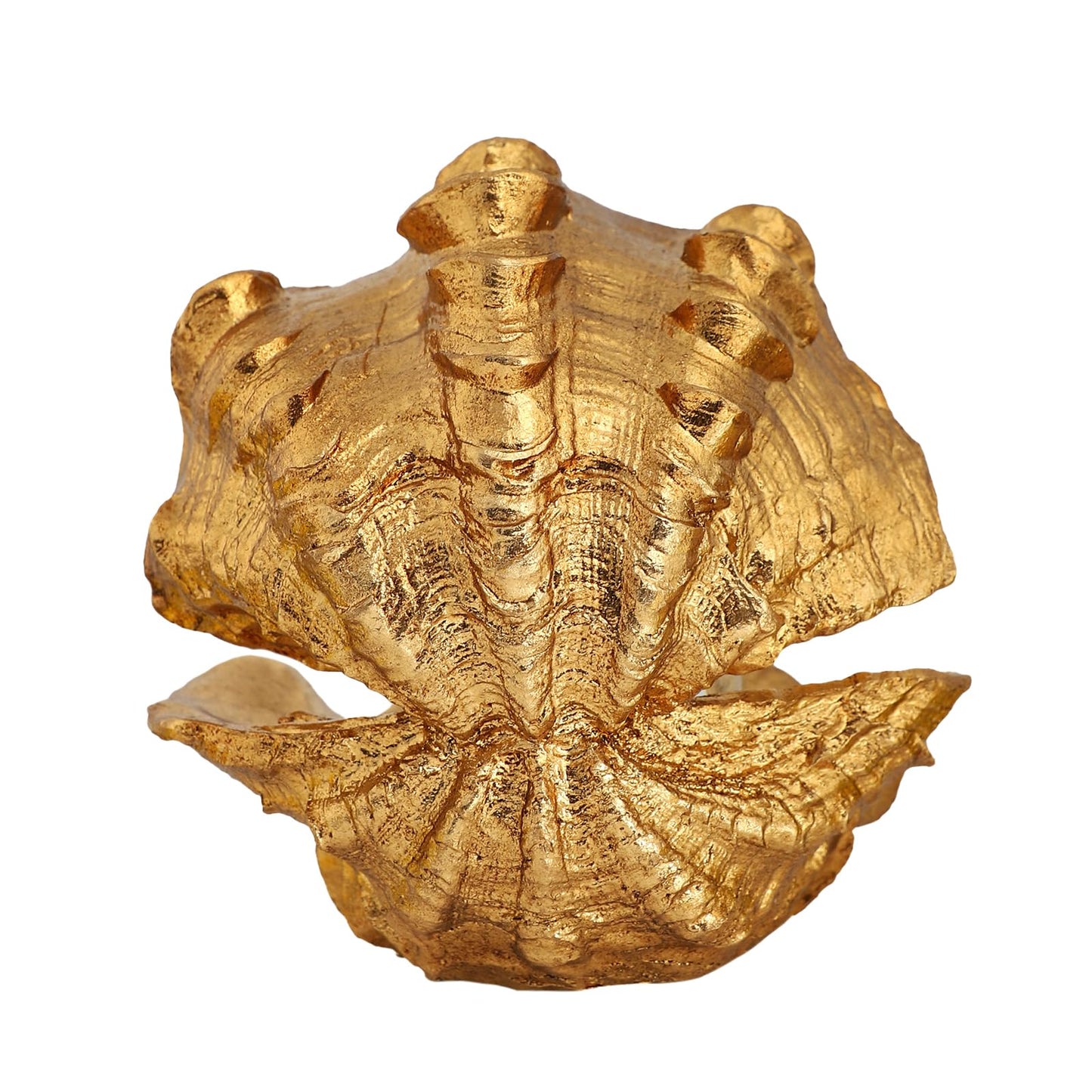 Zonsuli Pearl Oyster Statues Home Decor Living Room Decor Coffee Table Sculpture Bedroom Desk Decorations Gold Shelf Statue Office Figurine Desktop House Accent Aesthetic Collectibles Ornaments