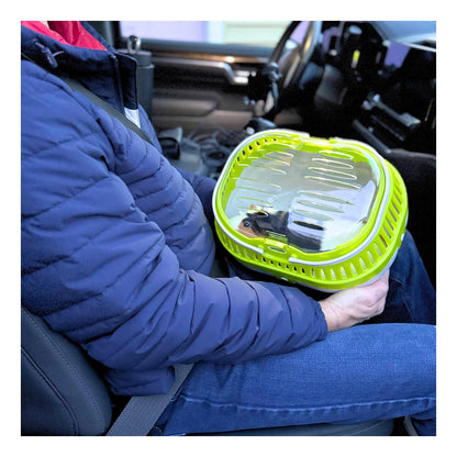 Trixie Pico Transport Box for Pet, 30 x 21 x 23 cm (Colour Assorted)
