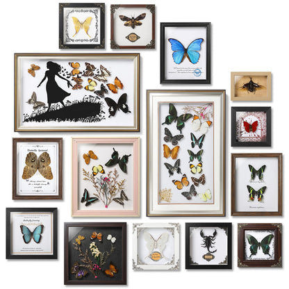TOHTOFN Real Rhinoceros Beetle (Dynastes) Preserved Framed - 6.7x4.7 Inch Handcrafted Insect Specimen Shadow Box, Gothic Home Decor for Christmas Halloween Birthday Gifts