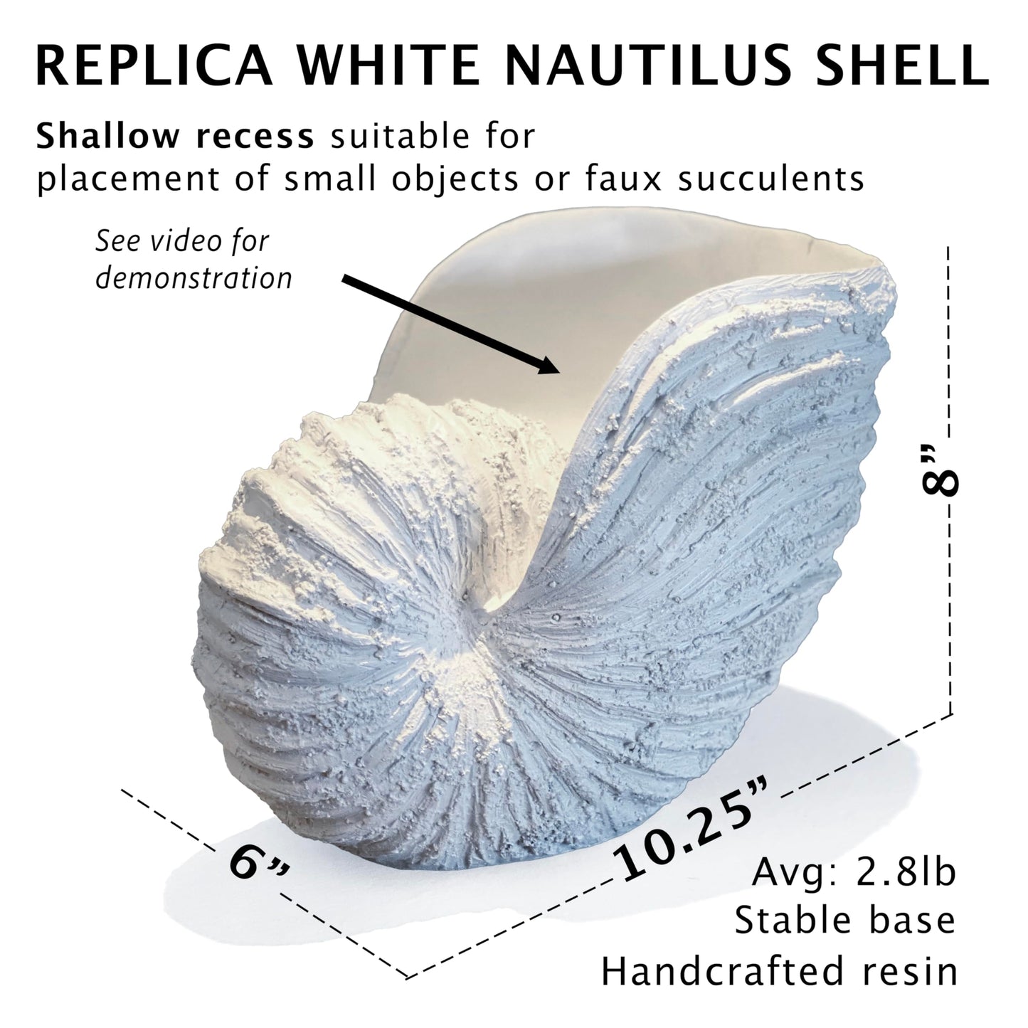Huey House Large Nautilus Shell Sculpture, White Seashell Beach Decor