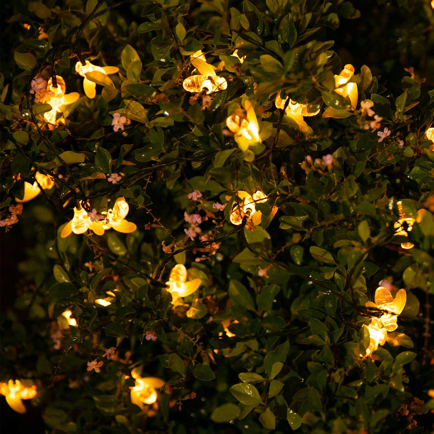 Brightown Solar Bee String Lights Outdoor 31FT 50 LED Honeybee Fairy Lights with 8 Lighting Modes, Waterproof Solar Bumble Bee for Patio Yard Garden Grass Wedding Christmas Party Decor, Warm White