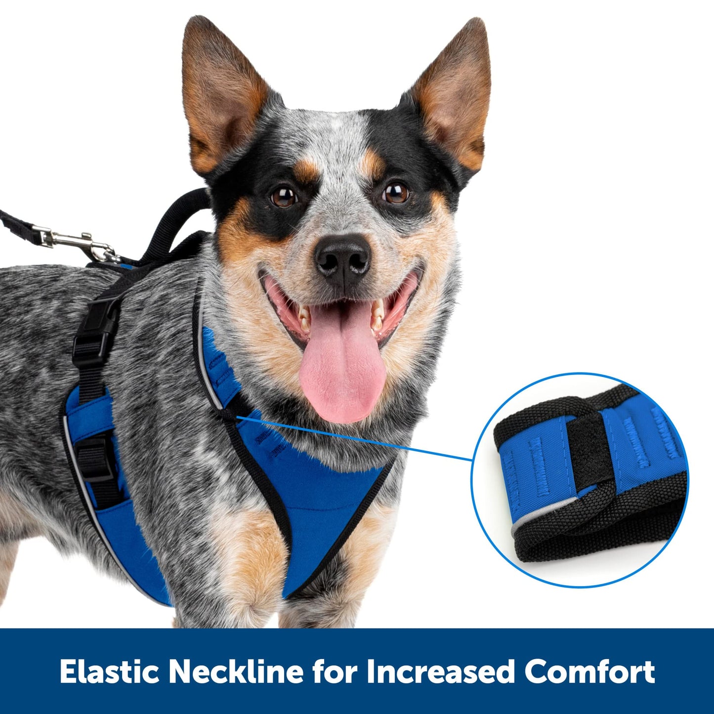 PetSafe EasySport Dog Harness – Adjustable Padded Dog Harness with Control Handle and Reflective Piping – Medium, Pink