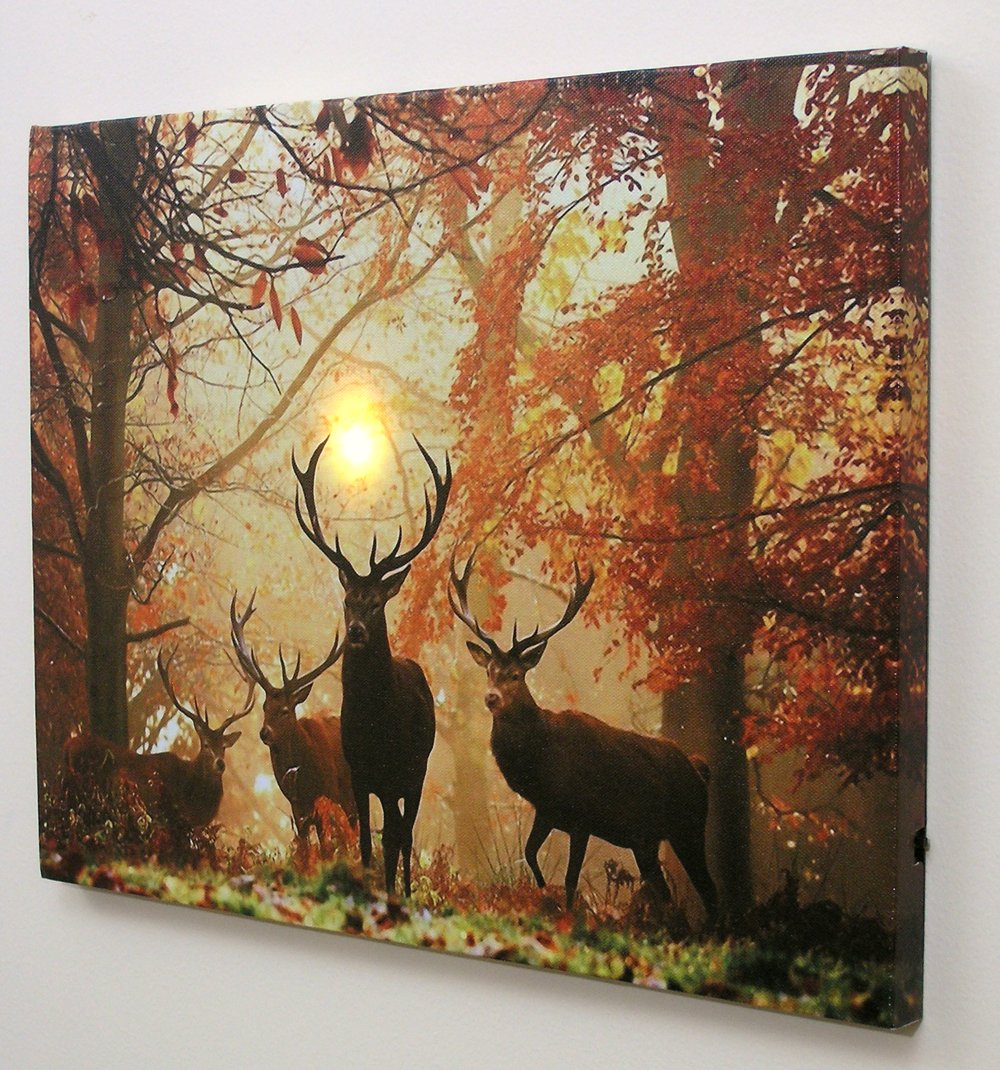 BANBERRY DESIGNS LED Wall Art - Big Buck Lighted Canvas Print - White Tail Bucks in Forest - Wildlife Wall Art - LED Light Up Deer Picture - Measures 15.75" W X 11.75" H