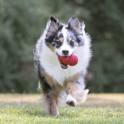 KONG Classic Stuffable Dog Toy - Fetch & Chew Toy for Dogs - Treat-Filling Capabilities - Durable Natural Rubber Material - For Medium Dogs