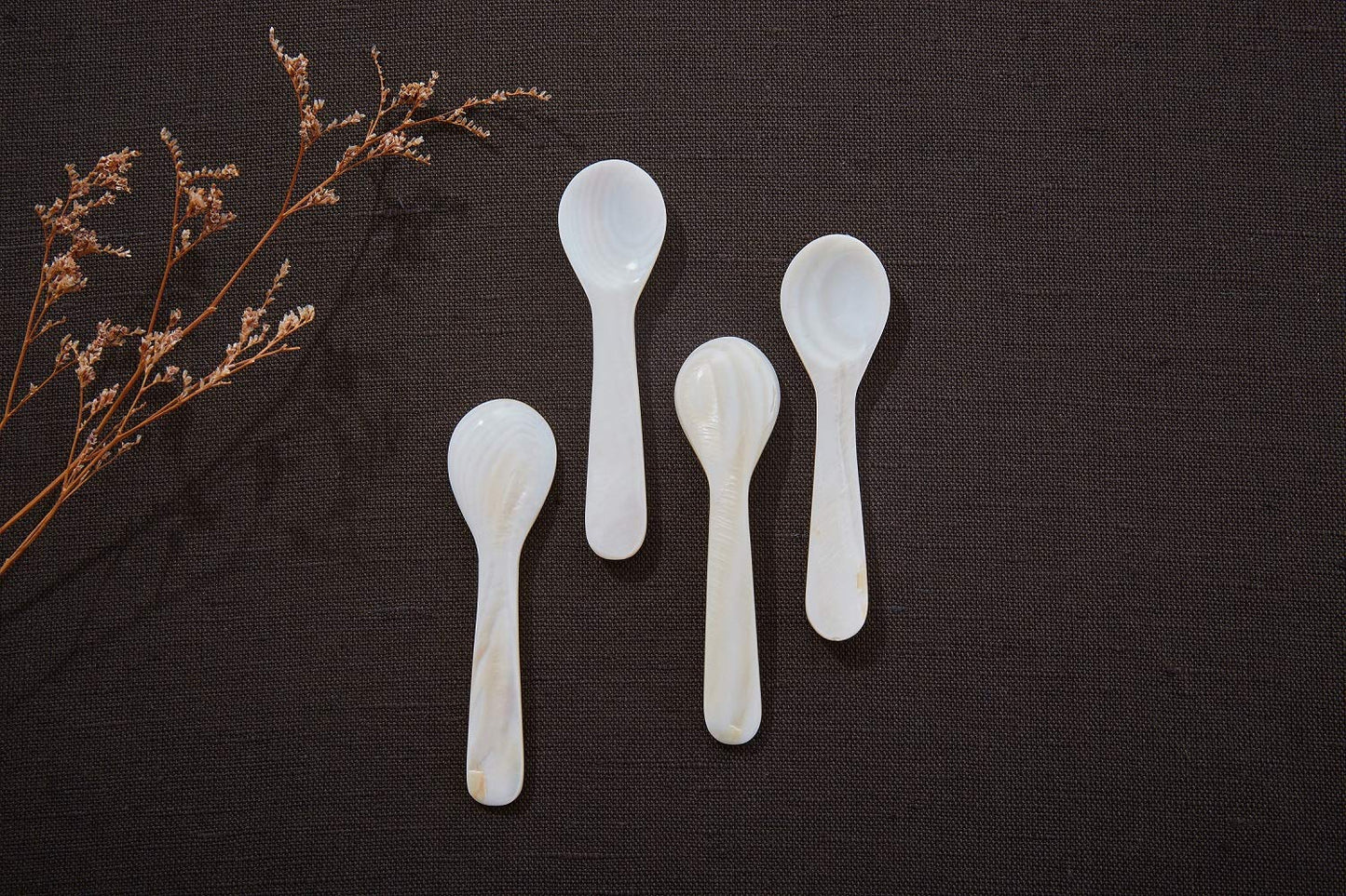 DUEBEL Set of 10 White Mother Pearl 2.75′′ Caviar Spoons Caviar, Egg, Coffee Serving (White, 7x2.1cm)