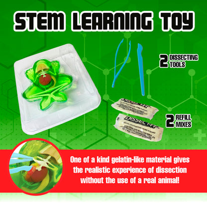 Top Secret Toys Dissect It Kit for Kids, Synthetic Dissection Kids Science Kit to Learn Animal Anatomy, Biology, STEM Frog Toys, Ages 6 and Above