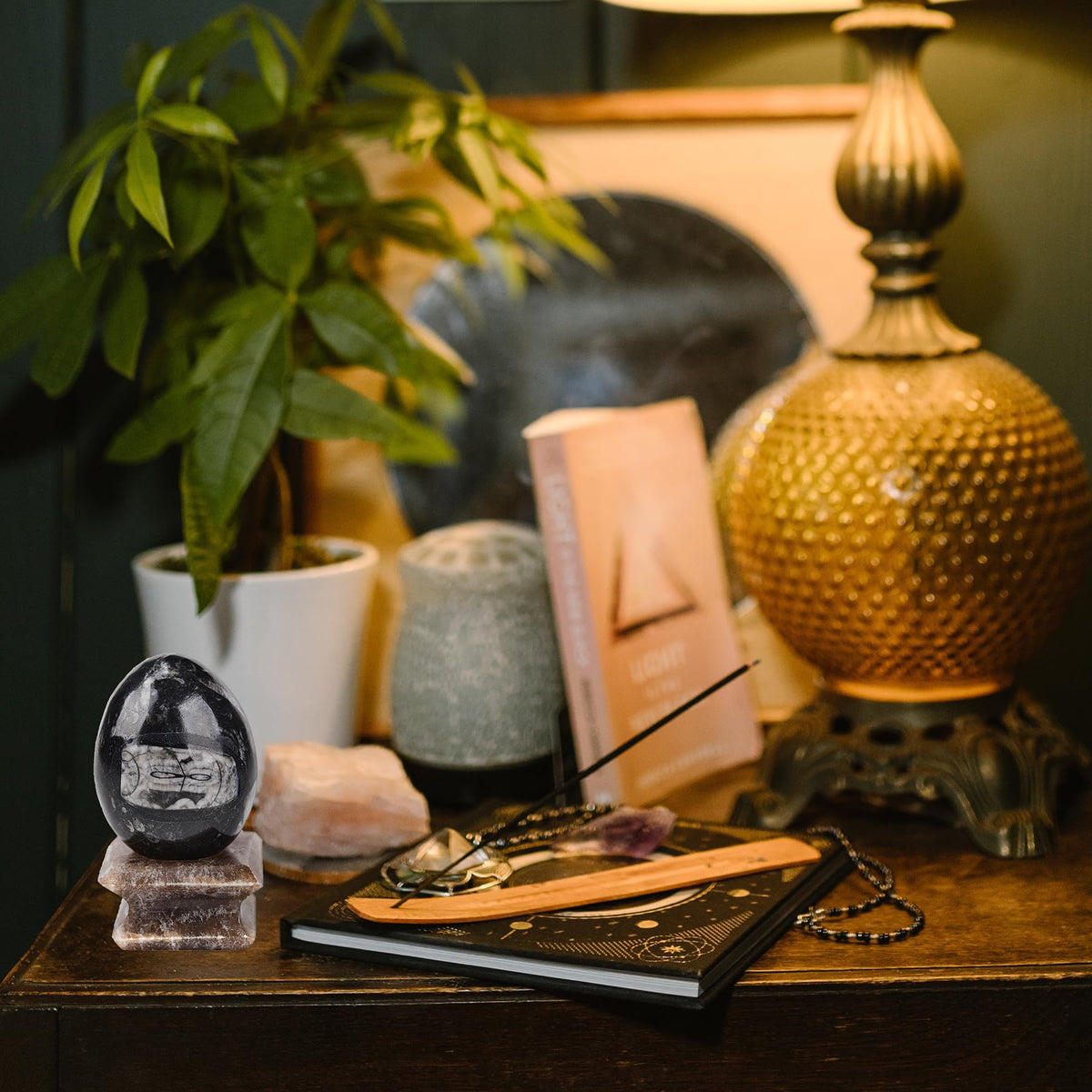 AMOYSTONE Orthoceras Stone Egg Black with Natural Stone Base for Healing Reiki Home Decors Medium, Single Height 2.5-3"