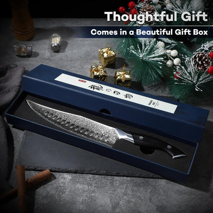 DRAGON RIOT Japanese Chef Knife, Damascus Kitchen Knife with VG10 Steel Core, Ultra Sharp Handmade Cooking Knives with Ergonomic Handle, Premium Gift Box for Mon and Dad