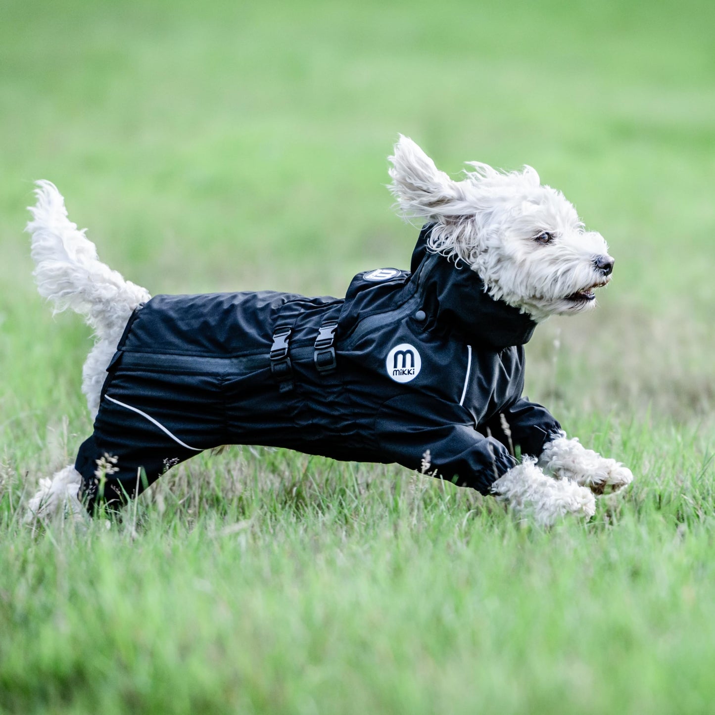 Mikki Doodles Dog Raincoat, Waterproof, Windproof, Silky Lining, Less Friction Means Less Knots & Tangles, Size Large c