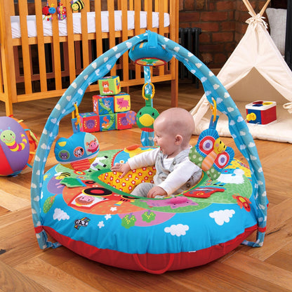 Galt Toys, Playnest and Gym - Farm, Sit Me Up Baby Seat, Ages 0 Months Plus