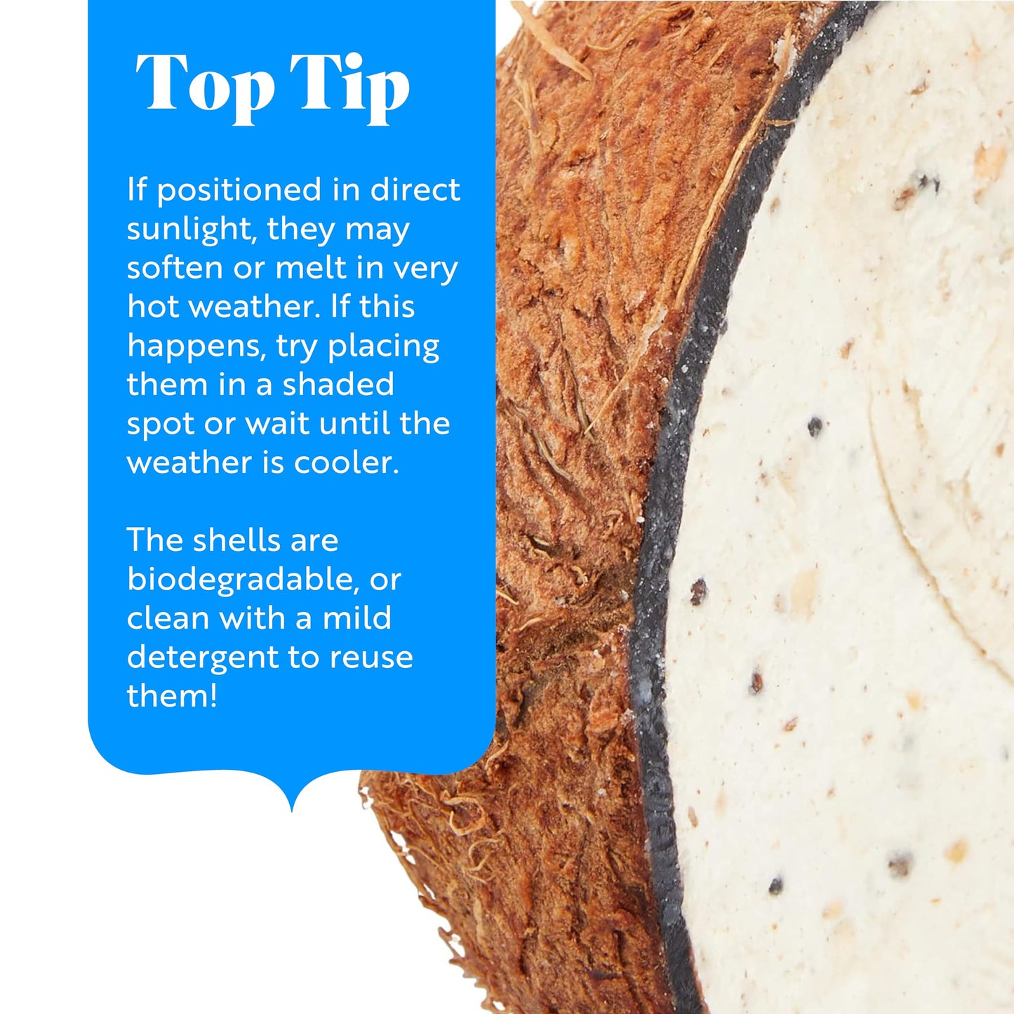 Coconut Bird Feeder Halves, Wild Bird Food for Small Birds with Suet, Dried Mealworms, Seeds, and Cereals, High Energy Food, Filled in the UK, Suitable for Year-Round Feeding - RSPB x 10 (320g)