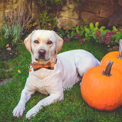 PTDECOR Fall Dog Collar with Bow, Halloween Thanksgiving Bowtie Collar, Adjustable Cotton Yellow Orange Plaid Bowtie Collars for Large Dogs Pets (Large)
