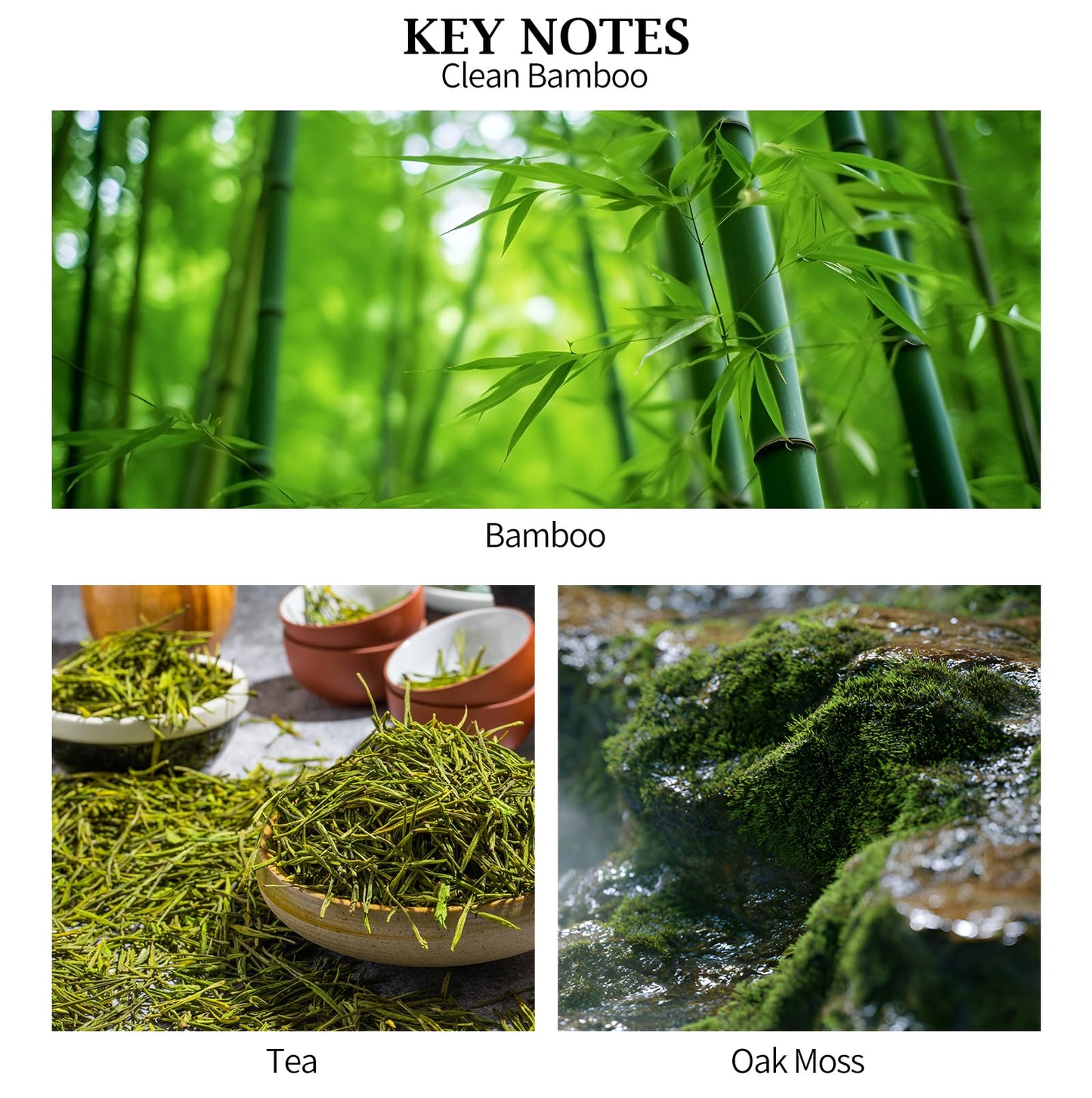 Aeeteek Reed Diffuser - Clean Bamboo Essential Oil Aroma for Home, Room Decor Aesthetic with Long-Lasting Fragrance, 4.06 fl oz (120 ml) Air Freshener for Office, Bathroom