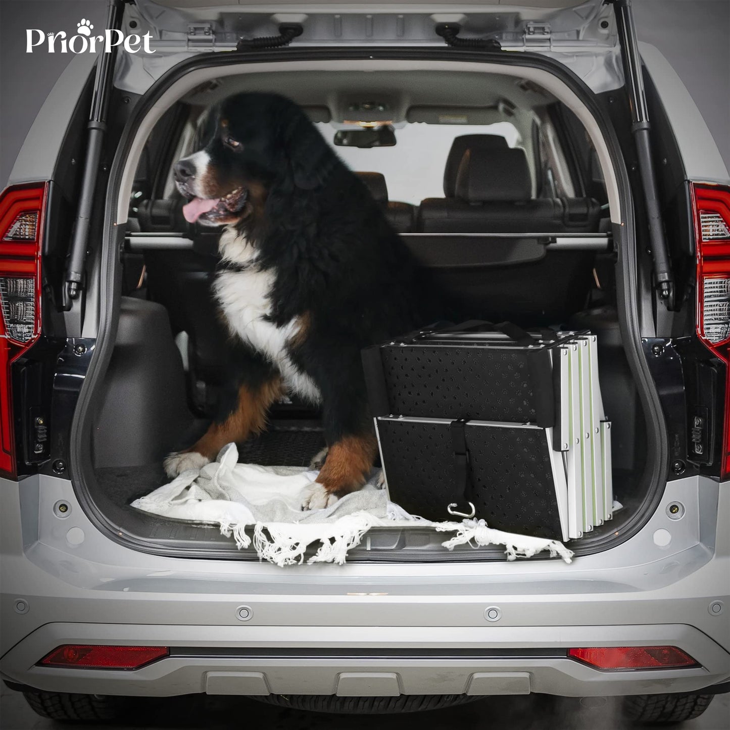Dog Steps for Car - Dog Ramps for Cars with Glow in the Dark Marking - Non-slip surface Car Ramp - Suitable for Small Cars and Estates - Portable Aluminum Folding Pet Ramp for Dogs - 4 Steps