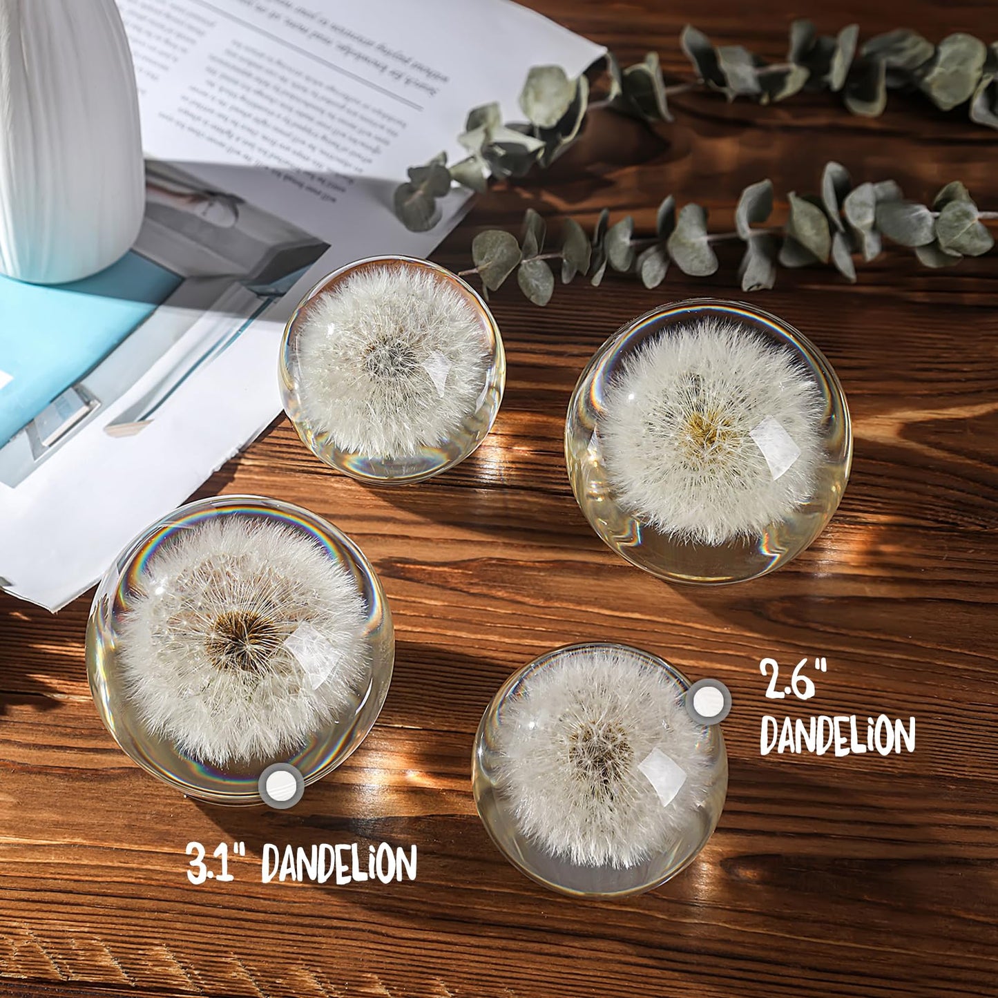 1st Heaven Dandelion Paperweight in Crystal – Real Preserved Dandelion, Symbol of Hope, Luck, or New Beginnings – Elegant Gift with Gift Box & Card (3.1 in)