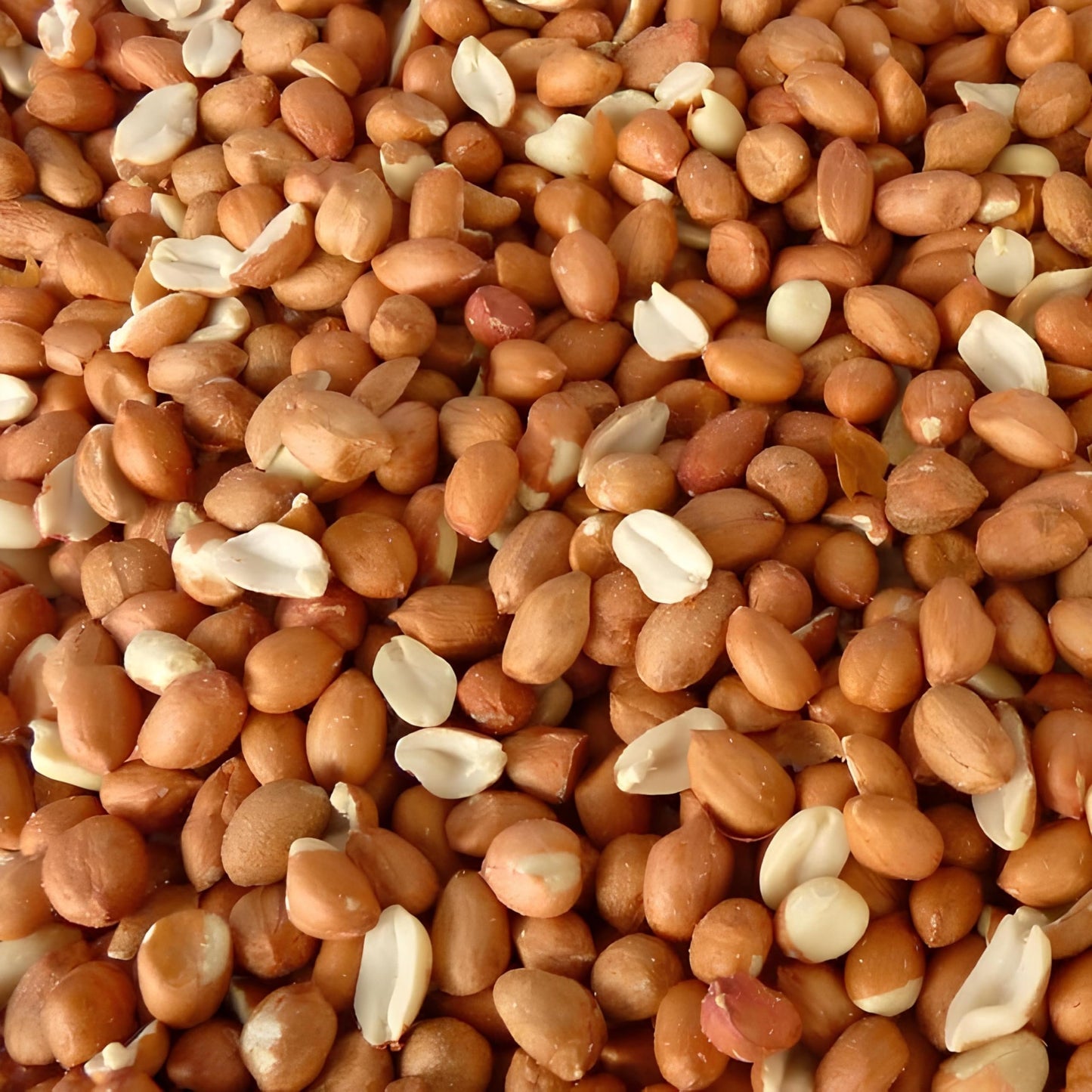 Leagrams Standard Peanuts for Wild Birds (10kg)