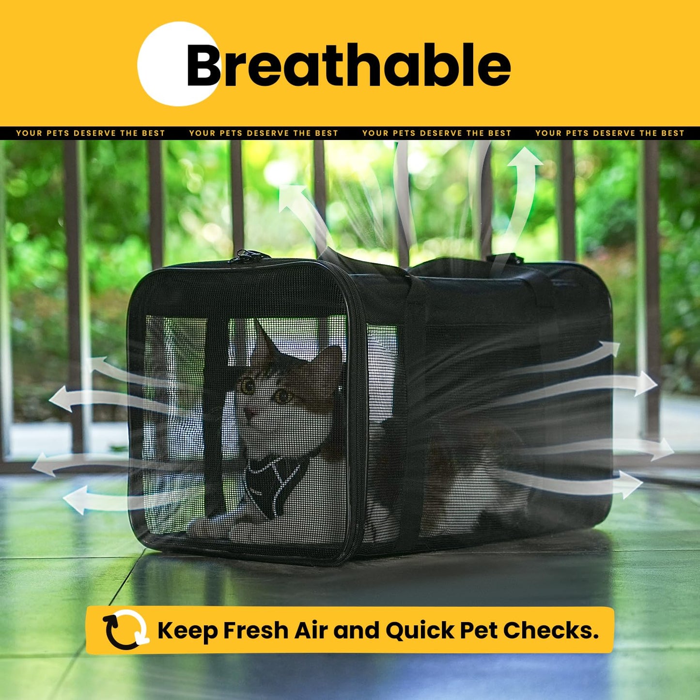 Conlun Cat Carrier Bag,Soft-Sided Pet Carriers for Dogs with 4-Sided Mesh,Airline Approved Cat Transport Carrier for Small&Medium Cats Kitten Puppy Up to 6Kg,Collapsible Cat Travel Carrier-M,Black