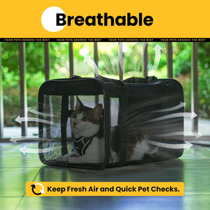 Conlun Cat Carrier Bag,Soft-Sided Pet Carriers for Dogs with 4-Sided Mesh,Airline Approved Cat Transport Carrier for Small&Medium Cats Kitten Puppy Up to 6Kg,Collapsible Cat Travel Carrier-M,Black