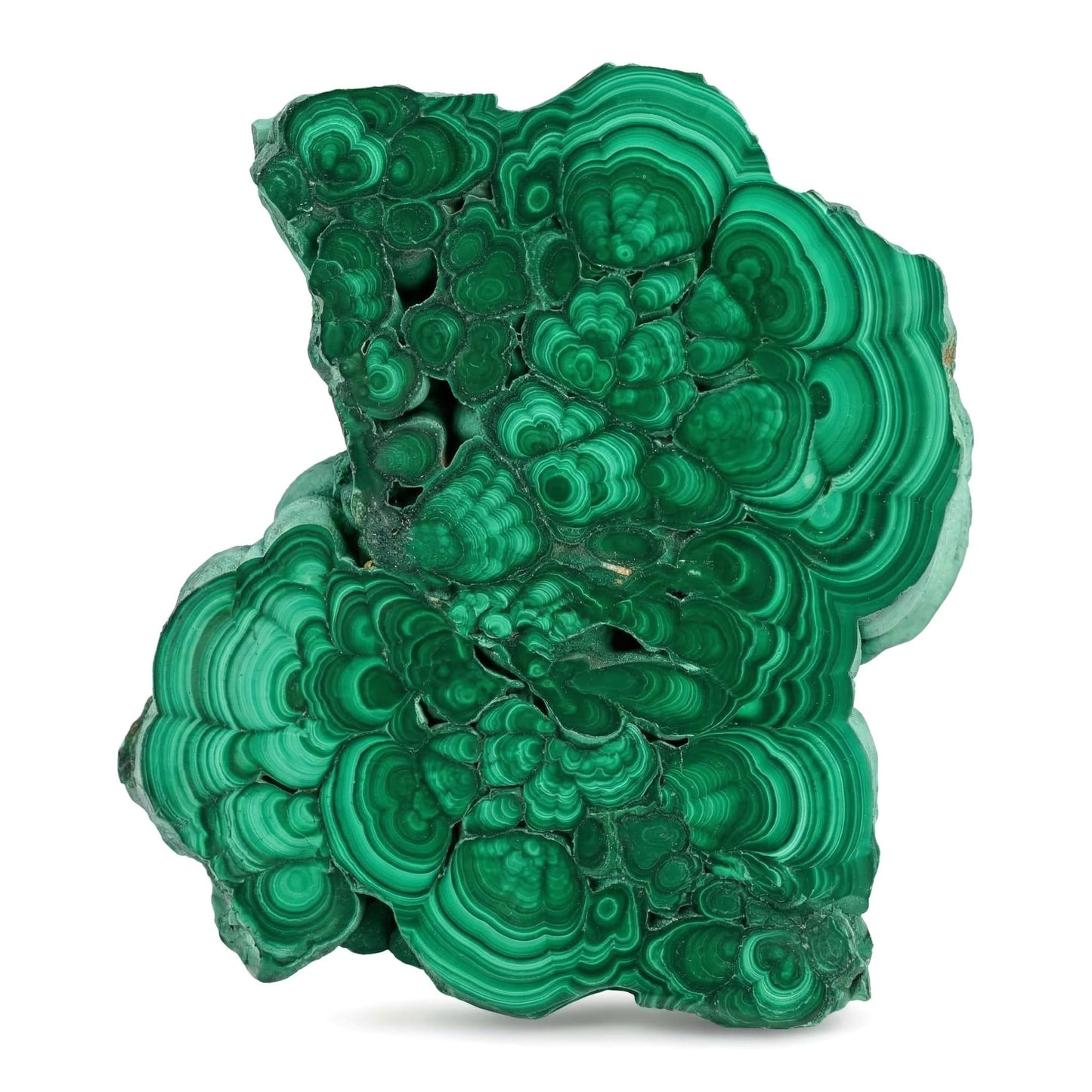 CrystalHola Natural Malachite Slab 1.1-1.32lb (500-600g), Premium Polished Malachite Slice Healing Crystal Stone, Green Mineral Specimen for Home Decor, Reiki, Meditation, Crystal Collection