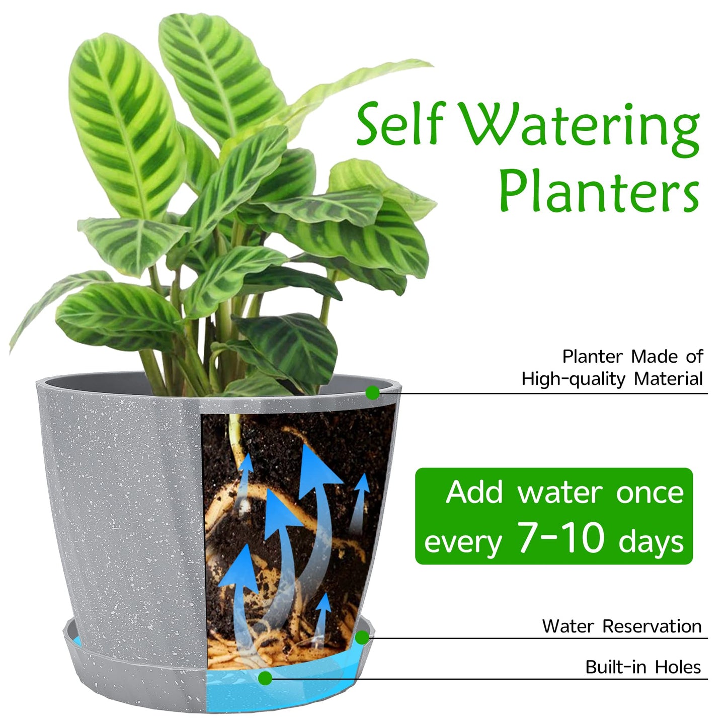 Plant Pots Indoor, 6Pack Plastic Plant Pots 19/17.5/16.5/15.5/14/11.5cm, Flower Pots Outdoor Self Watering Indoor Plant Pot with Drainage Holes and Tray, Plastic Planter for Garden House Plants(Grey)