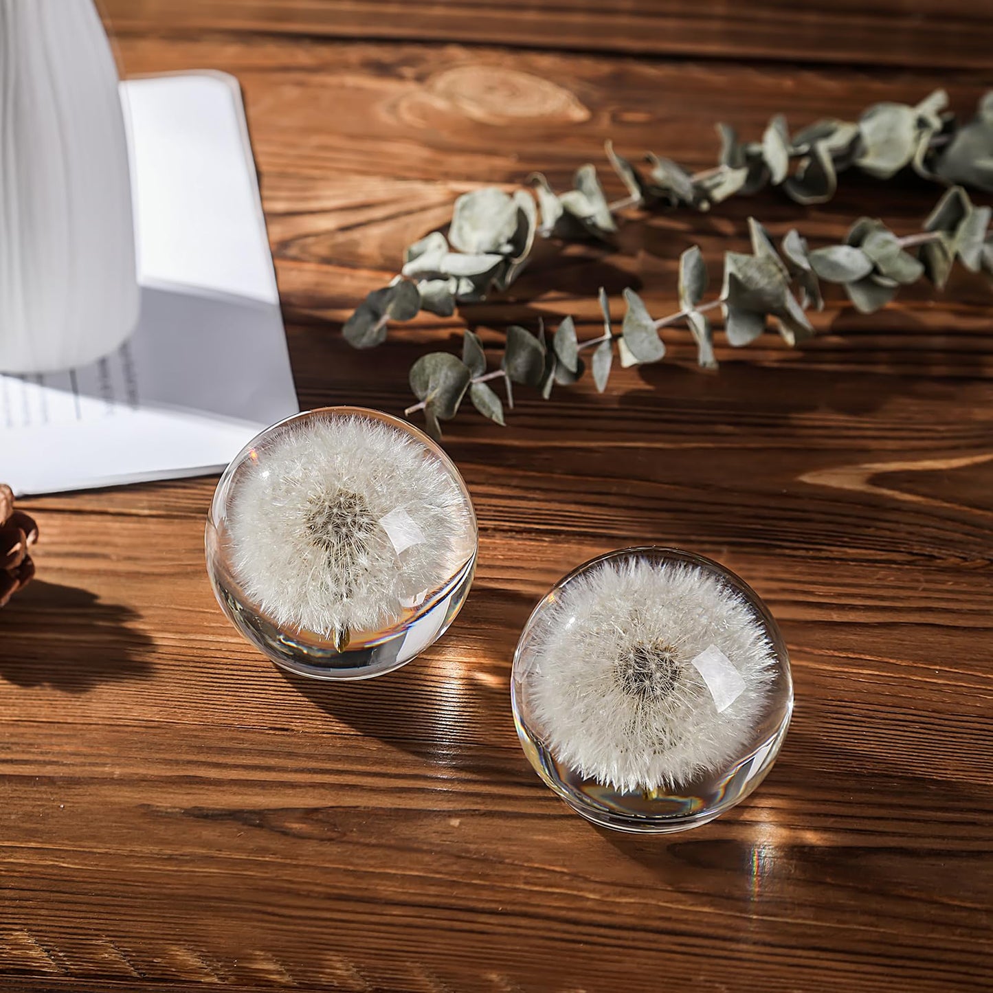 1st Heaven Dandelion Paperweight in Crystal – Real Preserved Dandelion, Symbol of Hope, Luck, or New Beginnings – Elegant Gift with Gift Box & Card (2.6 in)